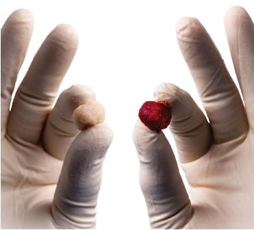 Two gloved hands each holding a small object, one beige and one red, against a white background.